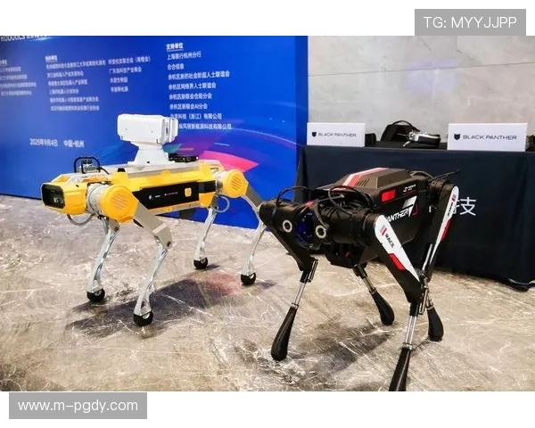 PG官网不凡成就非凡展现科技创新引领行业未来发展 PG官网不凡成就非凡展现科技创新引领行业未来发展