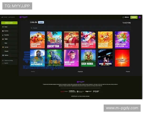 PG电子官方网站优化界面设计提升访问速度满足不同设备需求